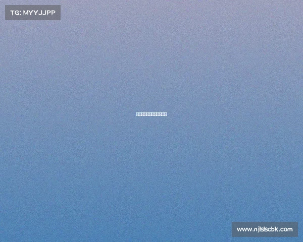 南昌市第十七届田径运动会